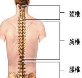 强直性脊柱炎会不会遗传？听听医生怎么说