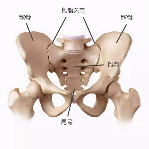 如何科学选购人体工学椅，告别肩周炎、颈椎病与腰椎病