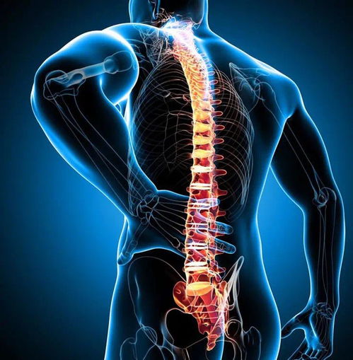 强直性脊柱炎 识别症状与科学治疗